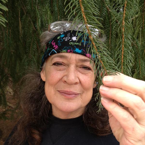 susun weed